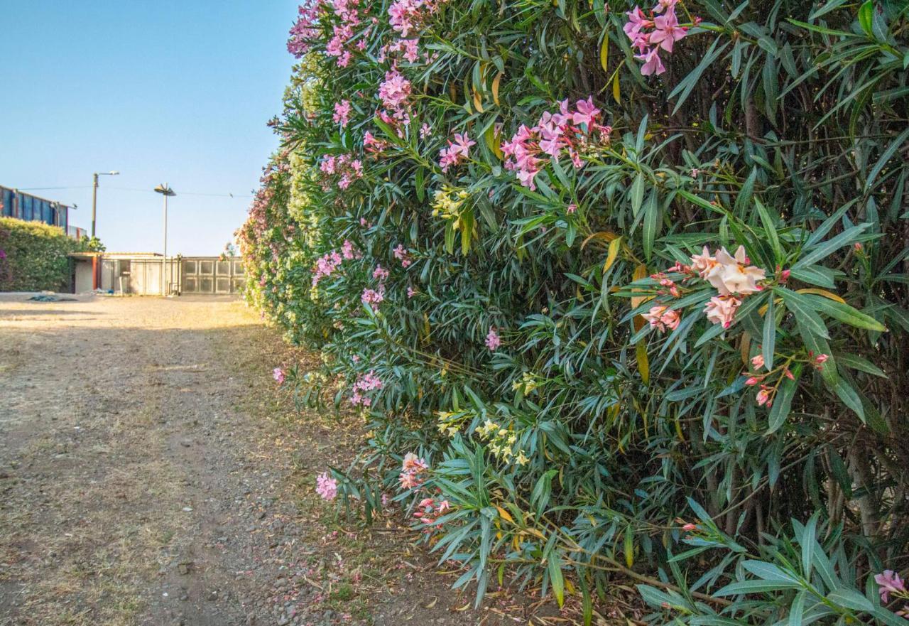 קטאניה Royal Playa Suite And Apartament -Private Parking- Self Chek Out מראה חיצוני תמונה